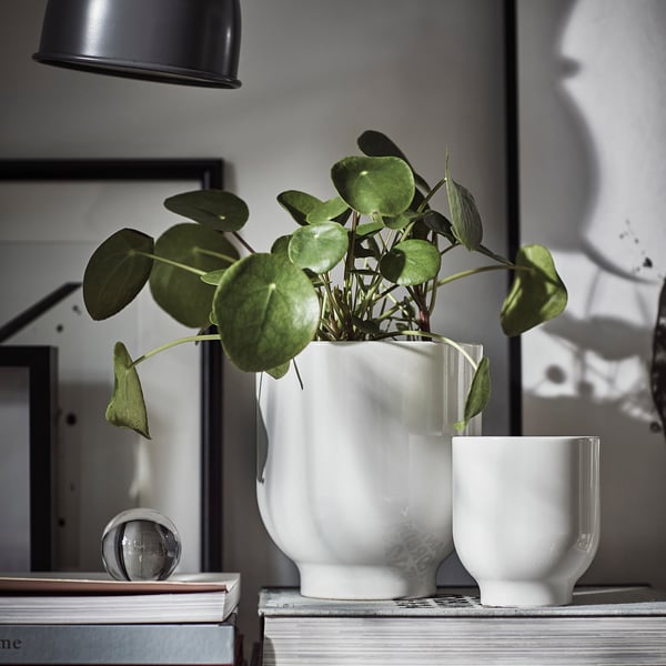 White ceramic vase with green plant; placed on stack of books; clean, modern decor.