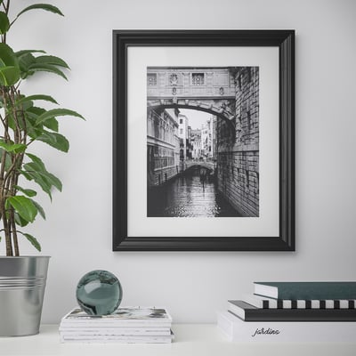 Framed black and white venetian bridge and canal on wall, with houseplant and books below.