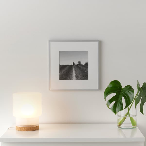 Framed photo on wall, lamp, plant on table