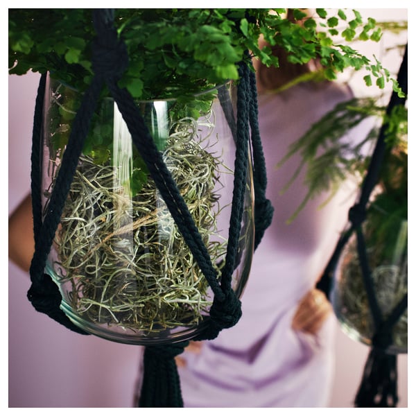 Hanging plants in black MÄVINN macramé plant holders. The holders, made of cotton, secure plant pots and display greenery.