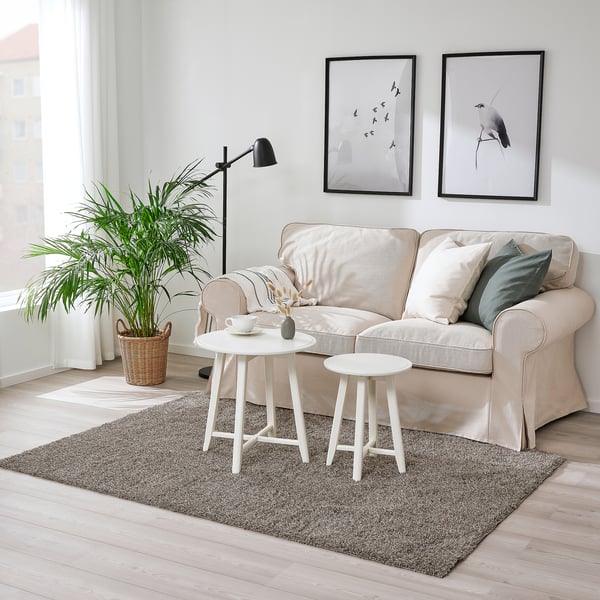 Large light-colored rug under a beige sofa with white side tables, green plant, and wall art in a bright room.