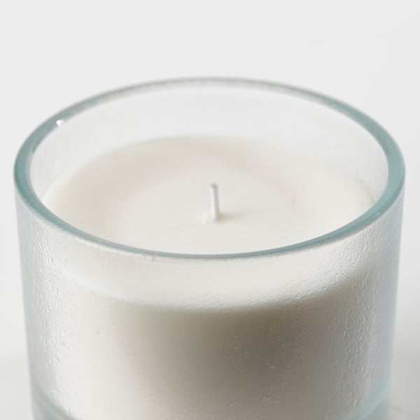 ADLAD Bougie parfumée dans verre, Forêts scandinaves/blanc, 50 hr