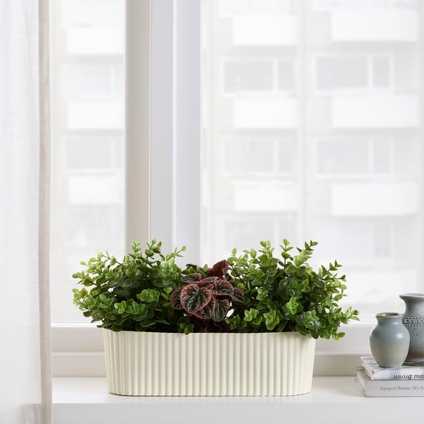 ÄPPELROS Cache-pot, intérieur/extérieur/blanc cassé ovale, 9 cm
