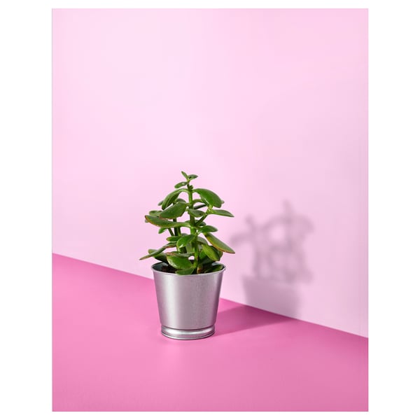 BINTJE Cache-pot, acier zingué, 9 cm
