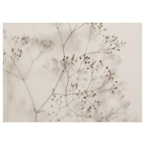 BJÖRKSTA Toile, fleurs - gros plan, 140x100 cm