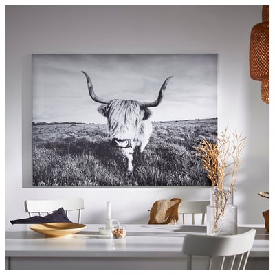 BJÖRKSTA Toile, vache curieuse, 140x100 cm