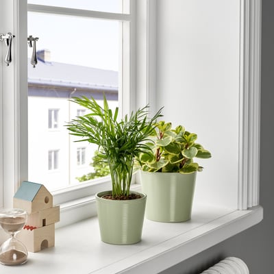 BROKSPIREA Cache-pot, vert clair, 12 cm