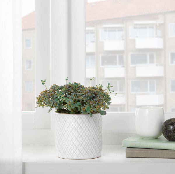 CHIAFRÖN Cache-pot, blanc, 9 cm