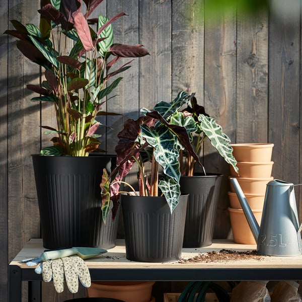 CITRONMELISS Cache-pot, intérieur/extérieur/anthracite, 19 cm