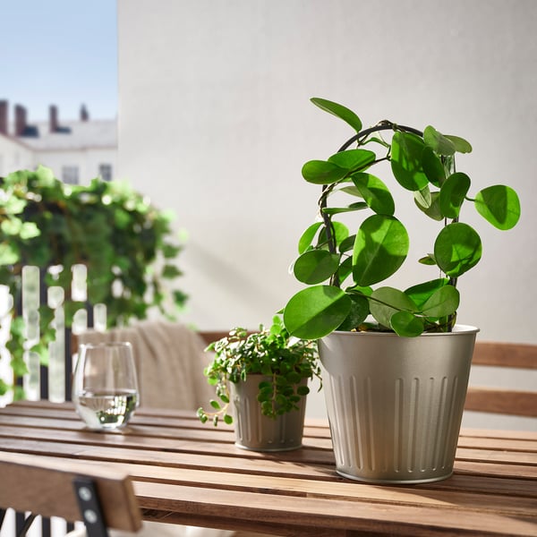 CITRONMELISS Cache-pot, intérieur/extérieur/gris, 15 cm