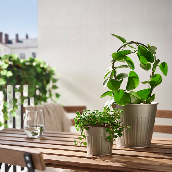 CITRONMELISS Cache-pot, intérieur/extérieur/gris, 9 cm