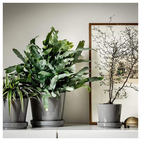 CITRUSFRUKT Pot avec coupelle, intérieur/extérieur gris, 15 cm