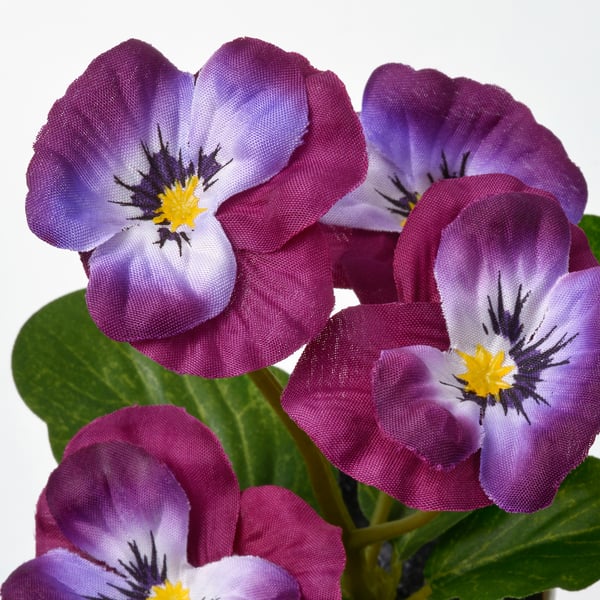 FEJKA Plante artificielle, intérieur/extérieur/Pensée, 6 cm