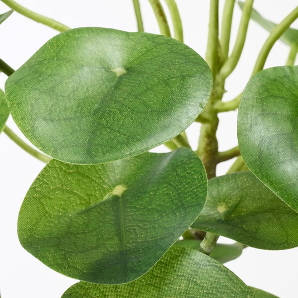 FEJKA Plante artificielle, intérieur/extérieur Pilea, 12 cm