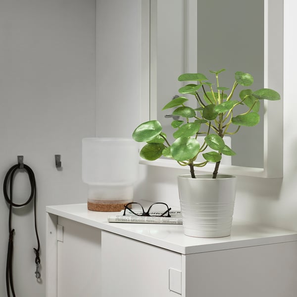 FEJKA Plante artificielle, intérieur/extérieur Pilea, 12 cm
