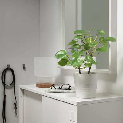 FEJKA Plante artificielle, intérieur/extérieur Pilea, 12 cm