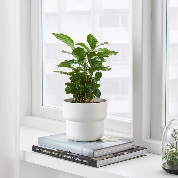 FÖRENLIG Cache-pot, intérieur/extérieur blanc, 12 cm