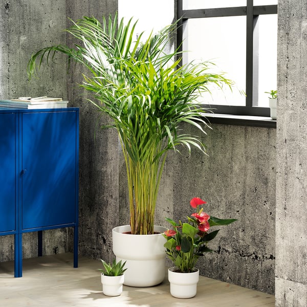 FÖRENLIG Cache-pot, intérieur/extérieur blanc, 9 cm