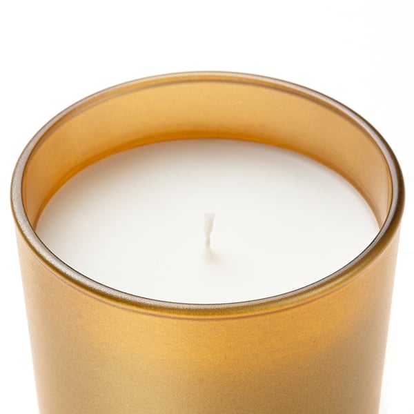 GOKVÄLLÅ Bougie parfumée dans verre, bois de santal et patchouli, 50 hr