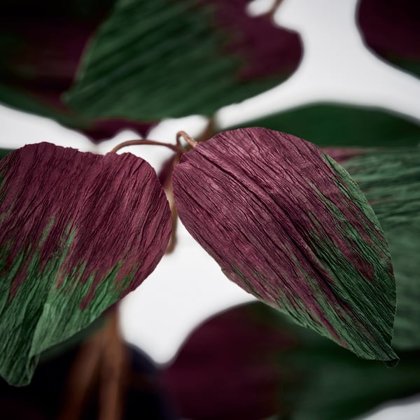 GULDSPETT Fleur artificielle, papier/eucalyptus vert, 50 cm