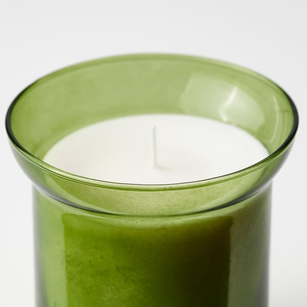 HEDERSAM Bougie parfumée dans verre, Herbe fraîche/vert clair, 50 hr