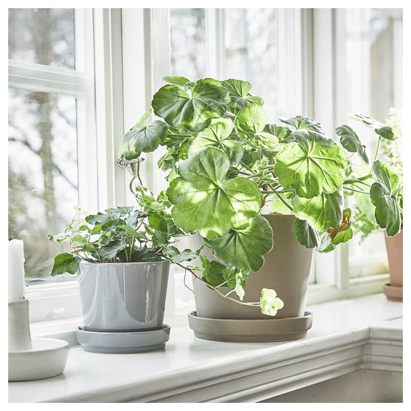 KLARBÄR Pot avec coupelle, intérieur/extérieur gris brun, 15 cm