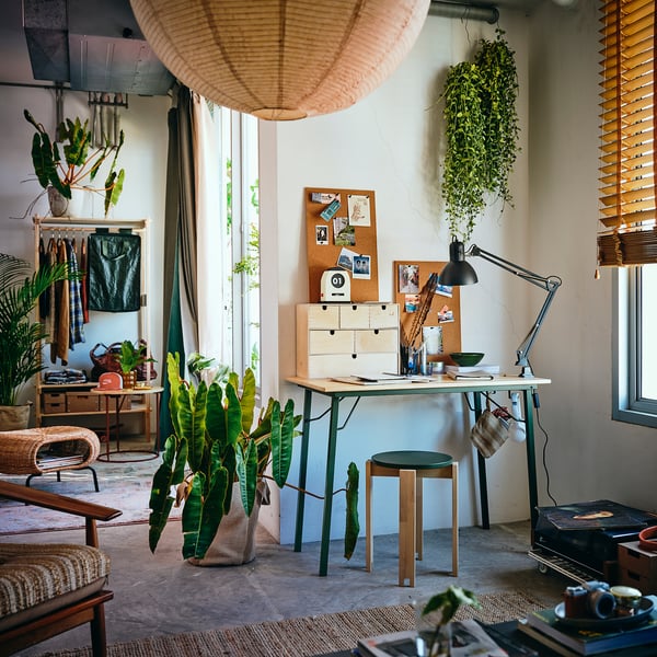 KOMPISHÄNG Bureau, vert pin, 100x55 cm