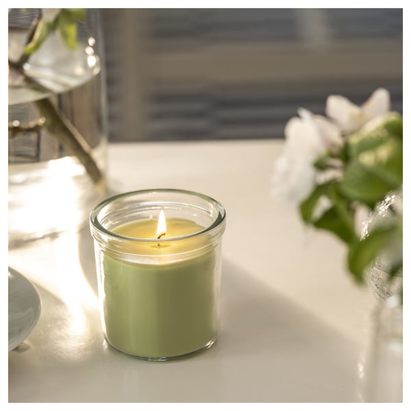 LÖVSKOGSLUND Bougie parfumée dans verre, pomme/vert clair, 20 hr