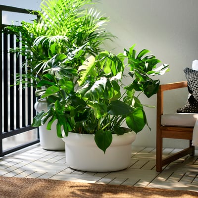 MÅBÄRSBUSKE Pot, extérieur/blanc cassé, 44 cm