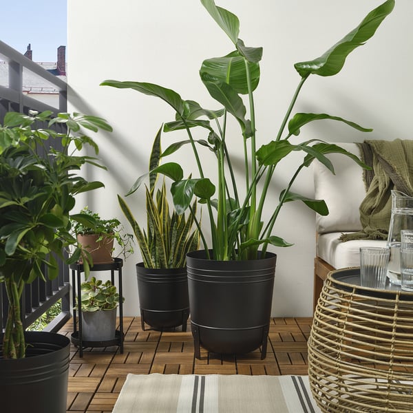 PÄRLRÖNN Cache-pot, intérieur/extérieur/noir, 32 cm