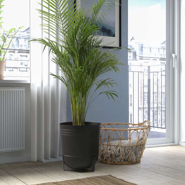 PÄRLRÖNN Cache-pot, intérieur/extérieur/noir, 32 cm