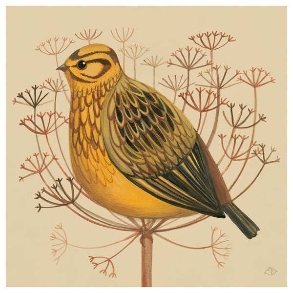 PJÄTTERYD Reproduction, bruant jaune, 40x40 cm