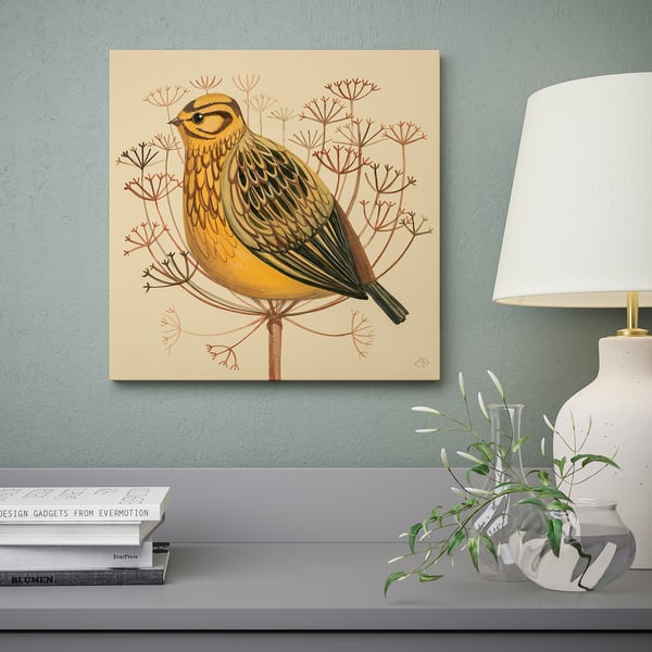 PJÄTTERYD Reproduction, bruant jaune, 40x40 cm