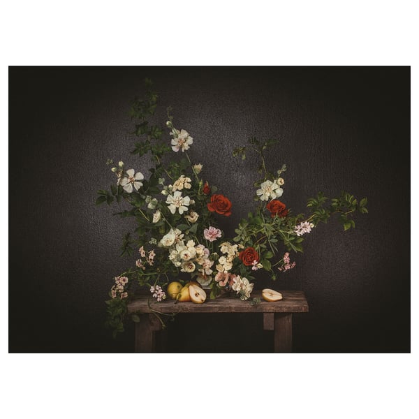 PJÄTTERYD Reproduction, fleurs - mur noir, 70x50 cm