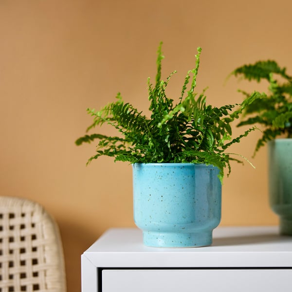 SAMMETSSYREN Cache-pot, intérieur/extérieur/turquoise, 9 cm
