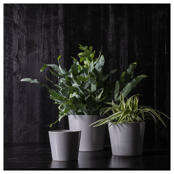 SKOGSVINBÄR Cache-pot, intérieur/extérieur gris, 12 cm