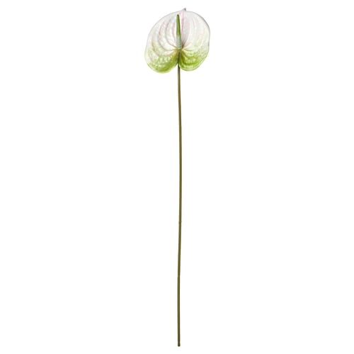SMYCKA Fleur artificielle, intérieur/extérieur ./blanc, 66 cm