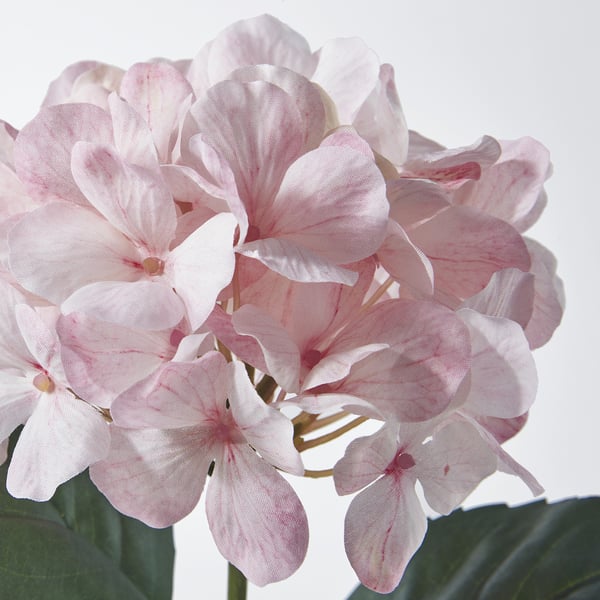 SMYCKA Fleur artificielle, intérieur/extérieur/Hydrangea rose clair, 45 cm