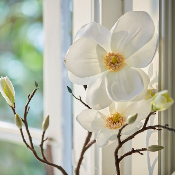 SMYCKA Fleur artificielle, intérieur/extérieur/magnolia blanc, 61 cm