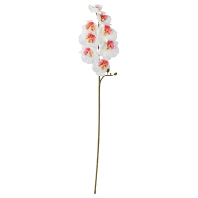 SMYCKA Fleur artificielle, intérieur/extérieur/orchidée blanc, 60 cm