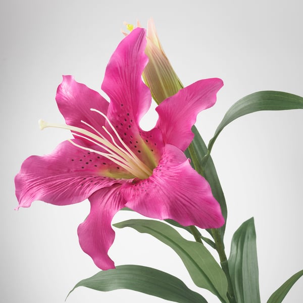 SMYCKA Fleur artificielle, lis/rose, 85 cm