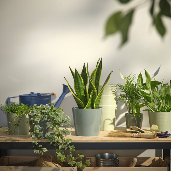 SOJABÖNA Cache-pot, gris/vert, 9 cm