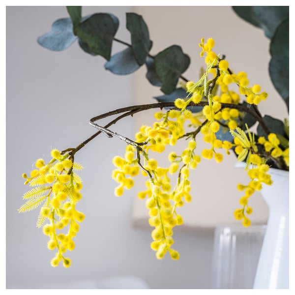 SVARTOXBÄR Bougie parfumée dans verre, mimosa/jaune, 45 hr