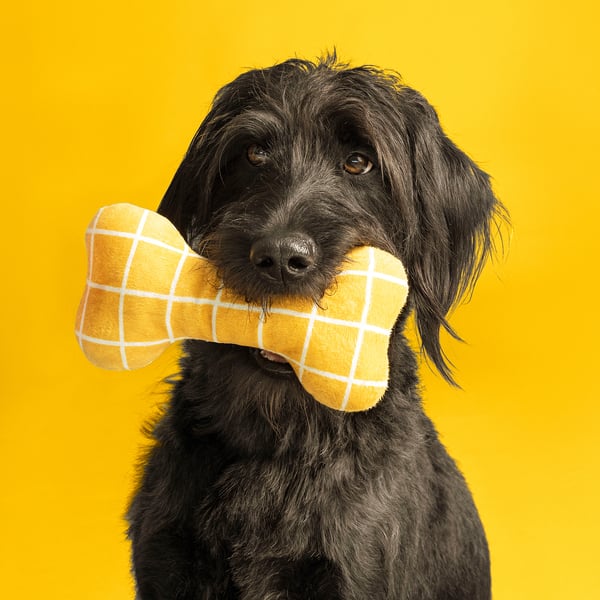 UTSÅDD Peluche pour chien, jaune