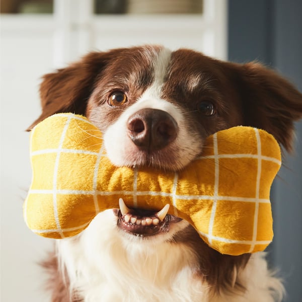 UTSÅDD Peluche pour chien, jaune