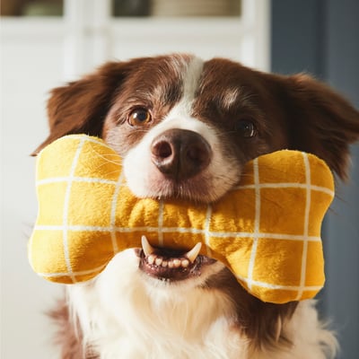 UTSÅDD Peluche pour chien, jaune