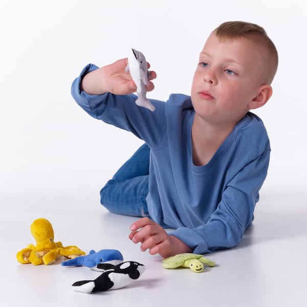 Young boy in blue outfit sits among ocean-themed plush toys, holding a stuffed dolphin.