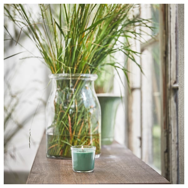 A small green scented candle sits on a wooden shelf next to a clear jar with green grass-like plants, adding a fresh touch to the scene.