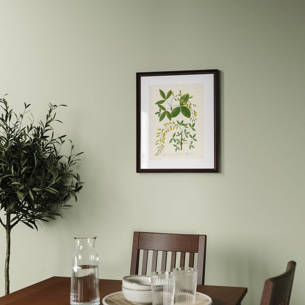 Framed botanical print hangs on light green wall. Table below holds glassware, bowl, and vase with olive branches.