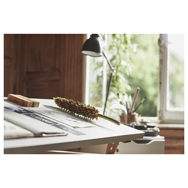 Desk by window with lamp, papers, and plant. Cosy study space.